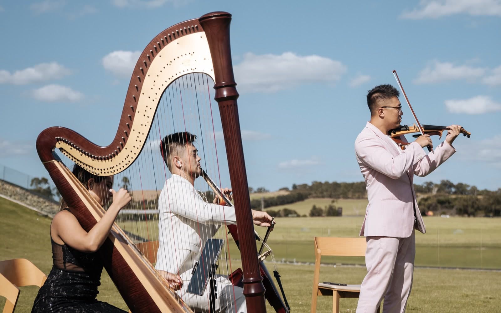 Harp