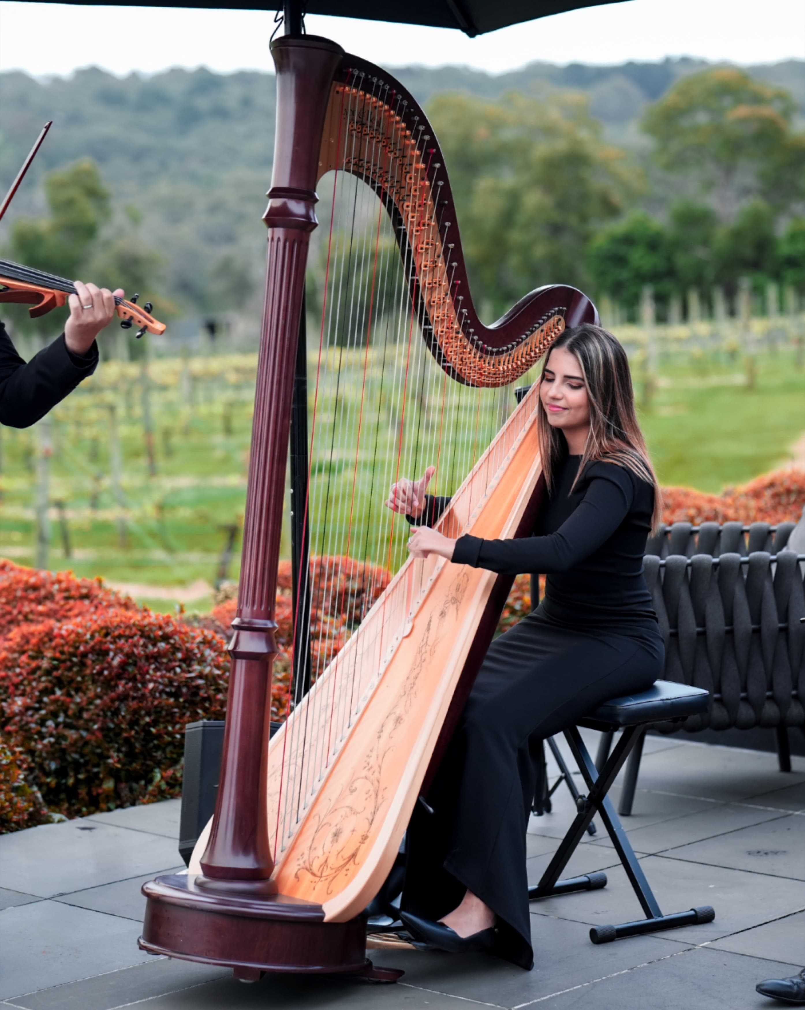 Harp